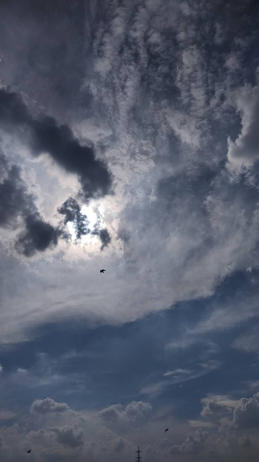 Chasing clouds.