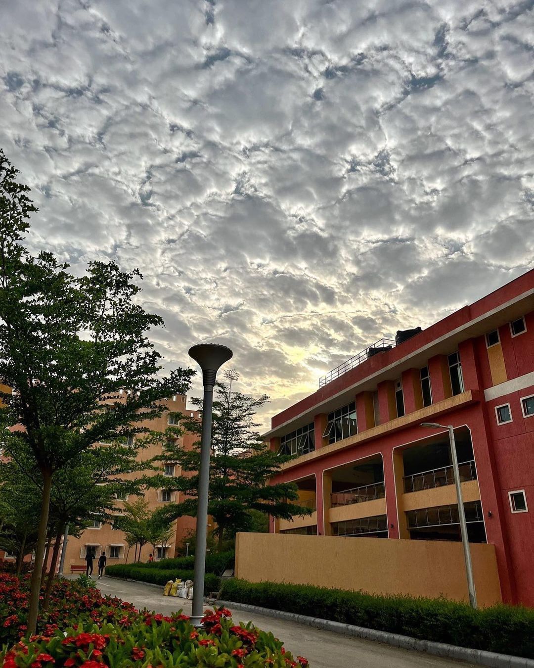 Cotton candy skies.