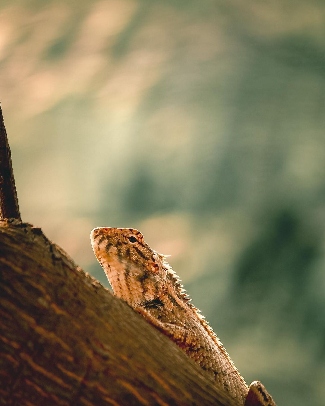 Camouflaged perfection.