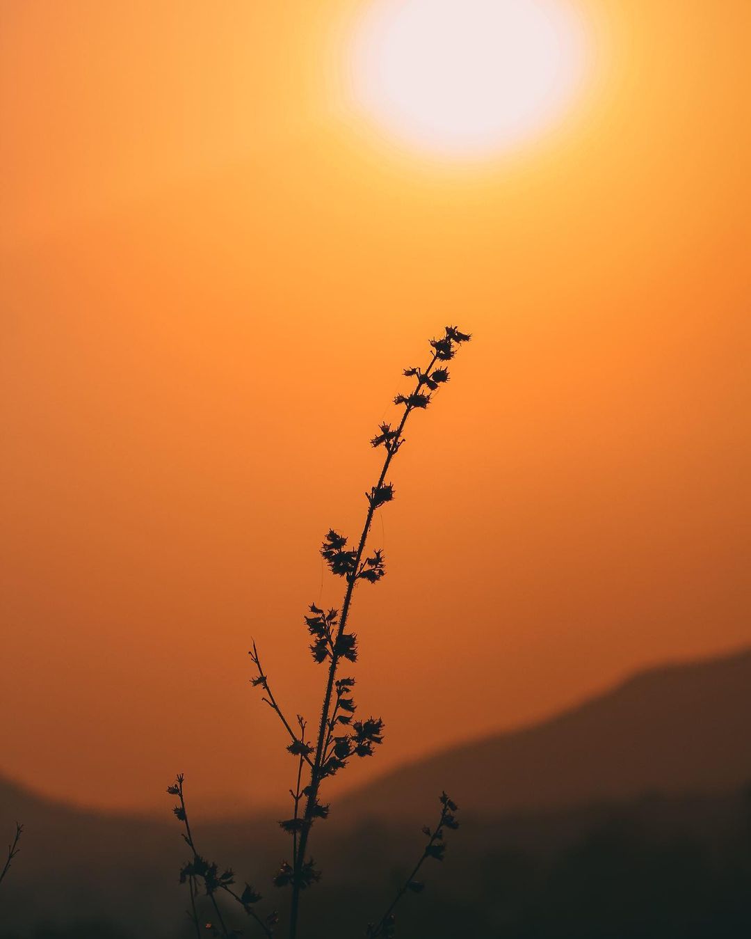 The magic hour.
