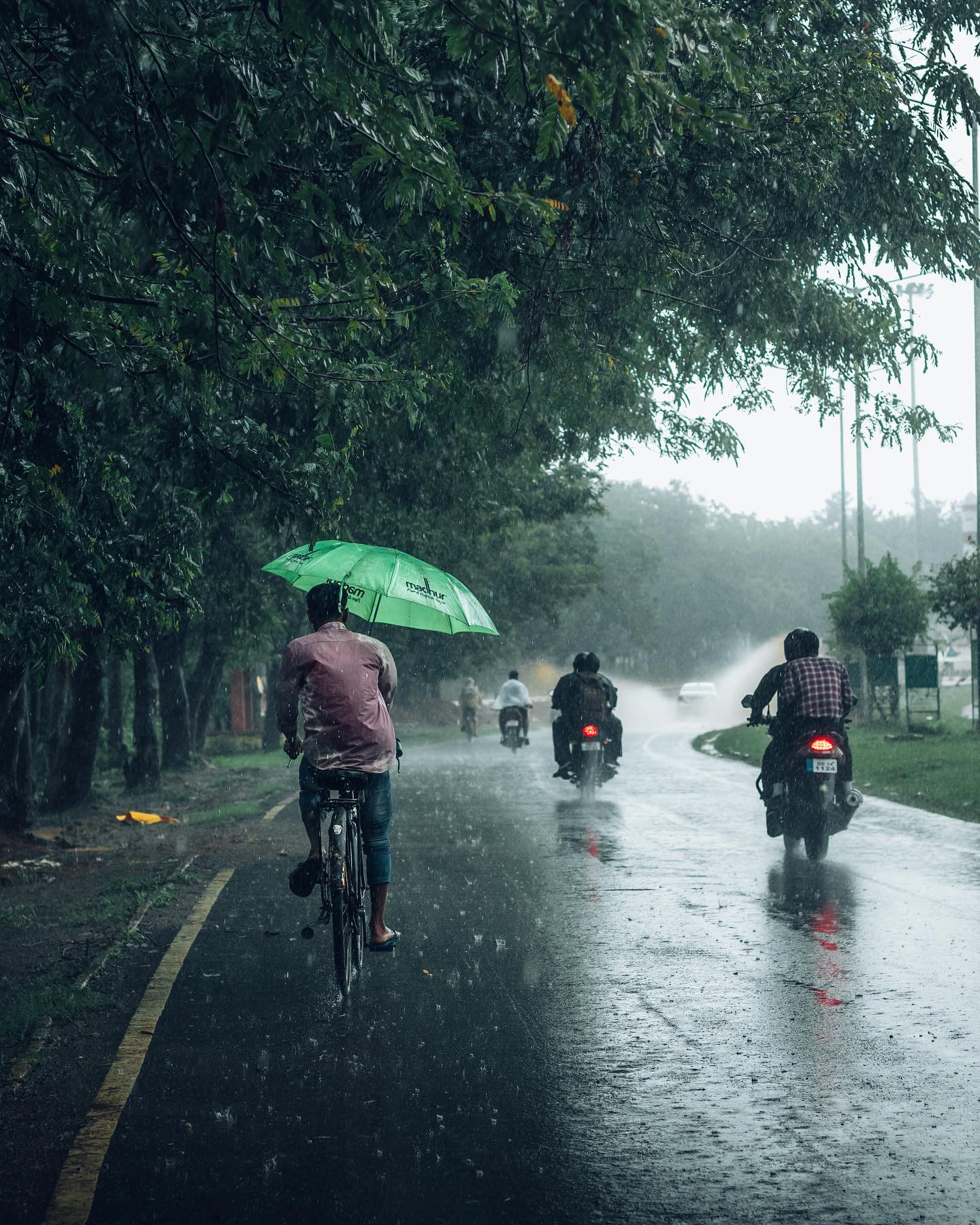 Cycling Through Life's Storms.