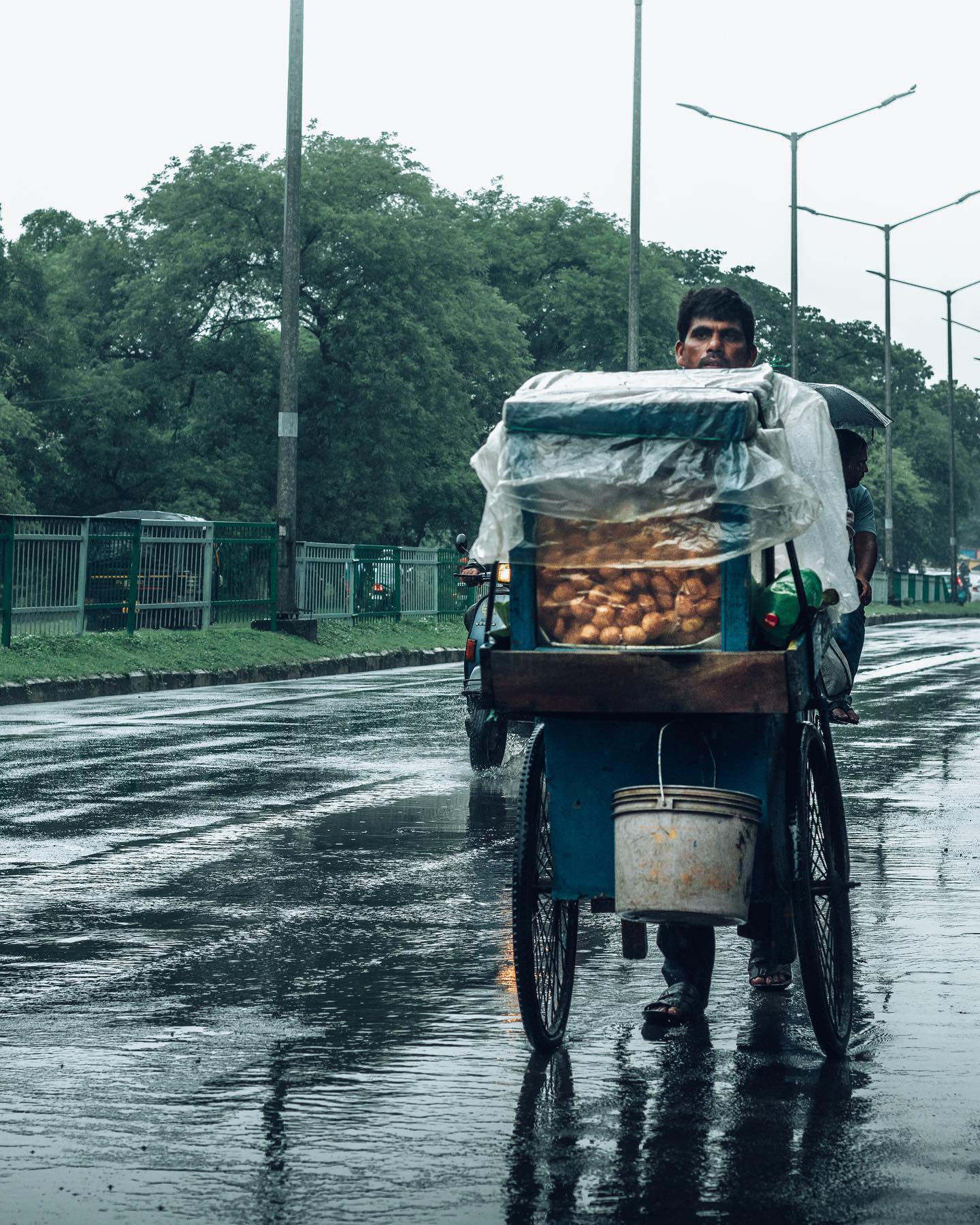 A Portrait of Struggle.
