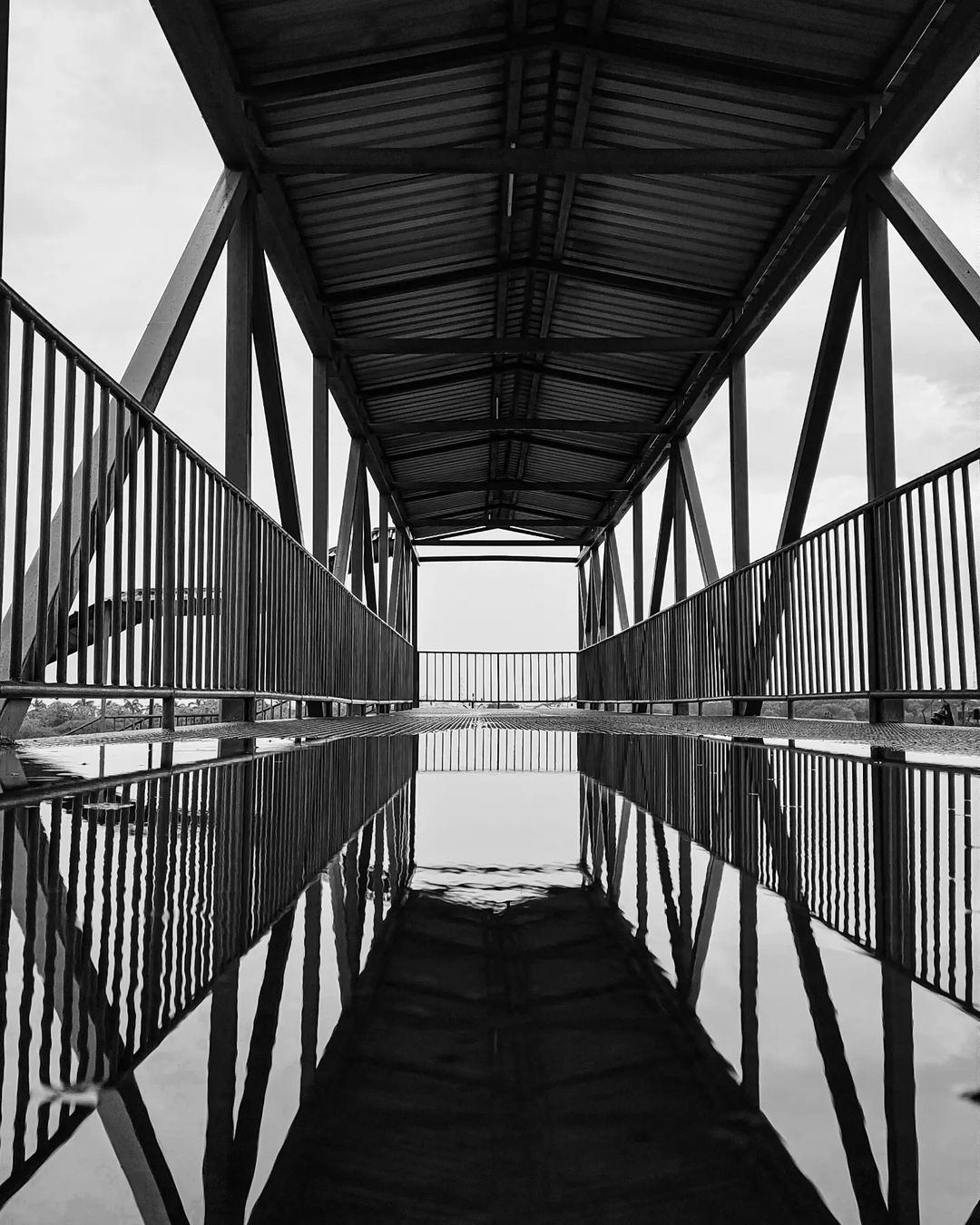 A Monochrome Journey Above the Streets.